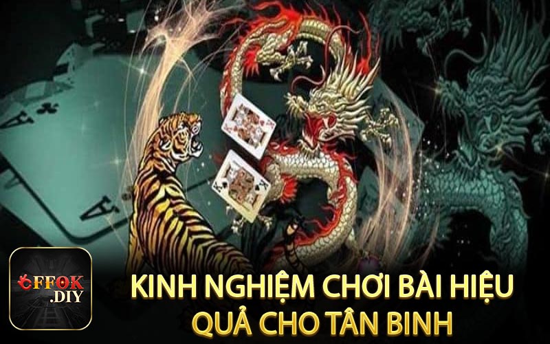 Kinh nghiệm chơi bài hiệu quả cho tân binh
